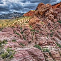 Valley of Fire I